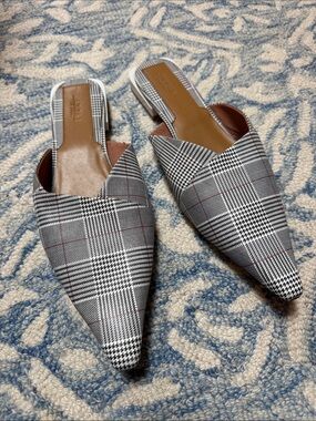 Jaggar the Label Pointed Flats